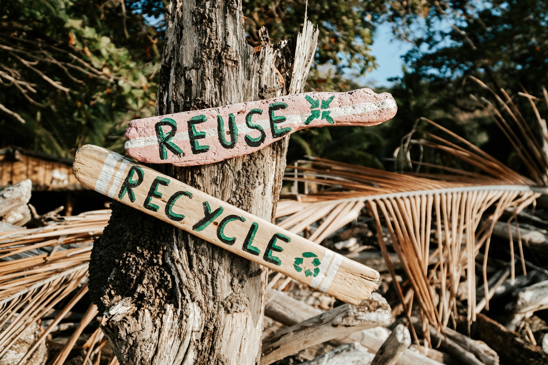 recycle